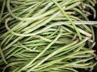 Sow French beans outside