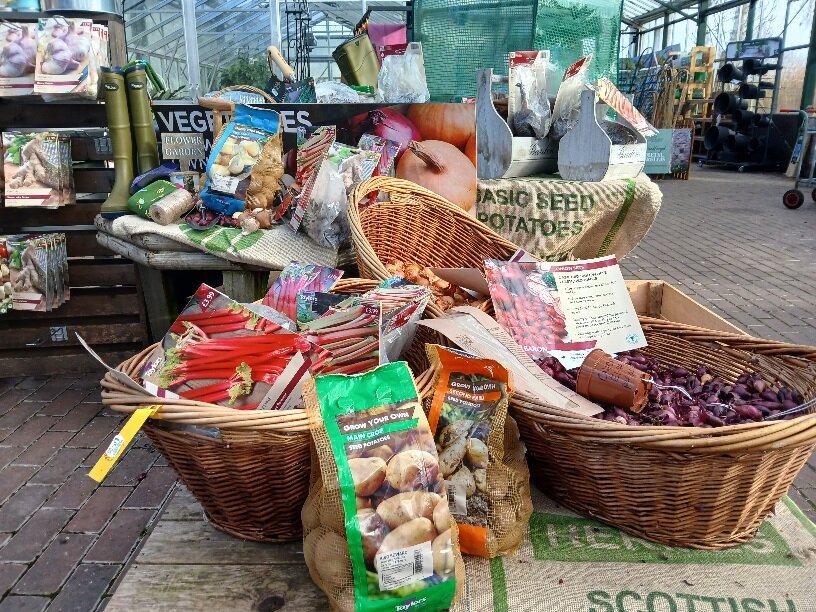 GET PLANTING! GET PLANTING!